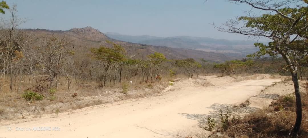 Stand for Sale in Nyanga 