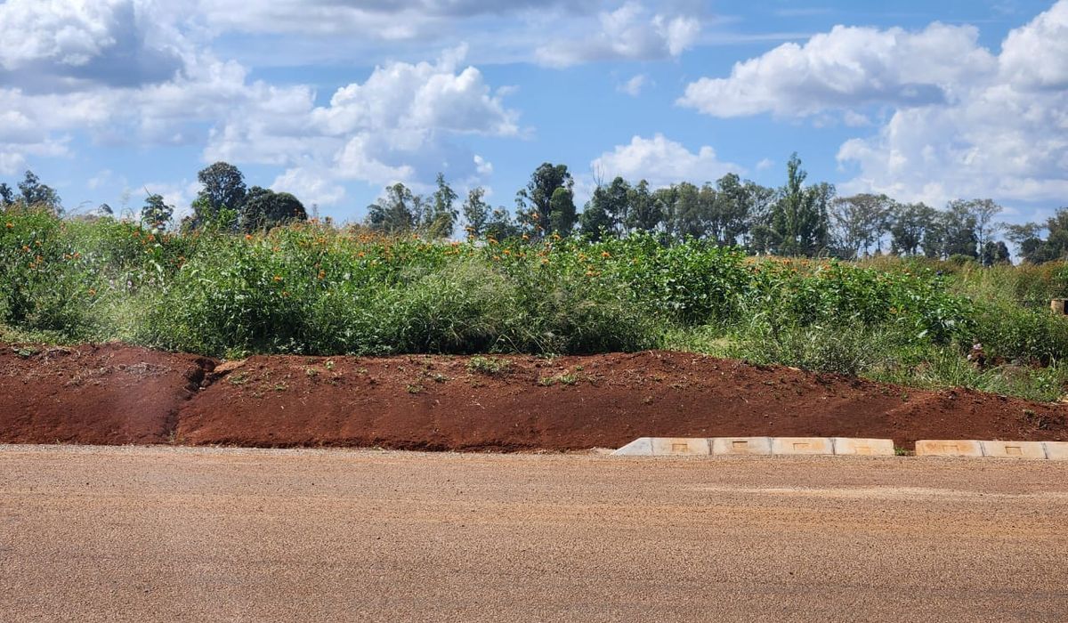 Stand for Sale in Nyeredzi 