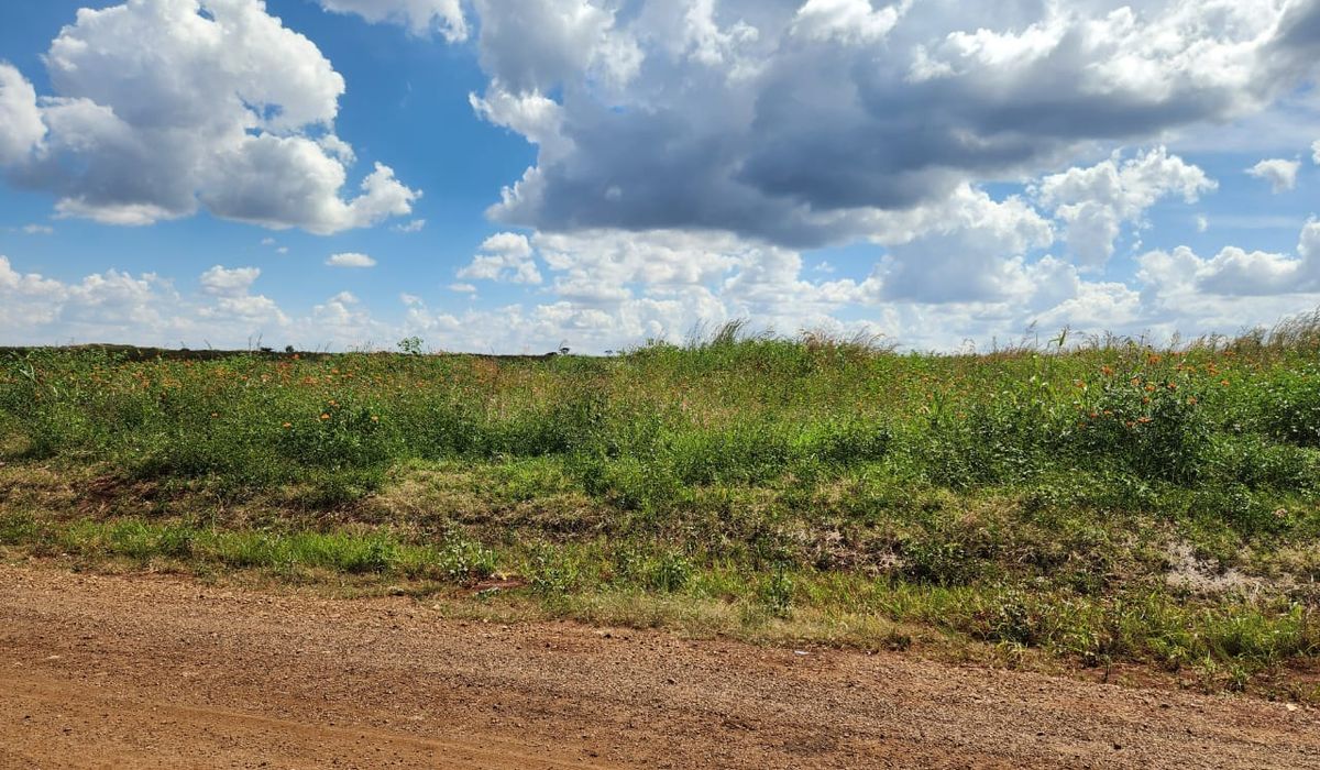 Stand for Sale in Nyeredzi 