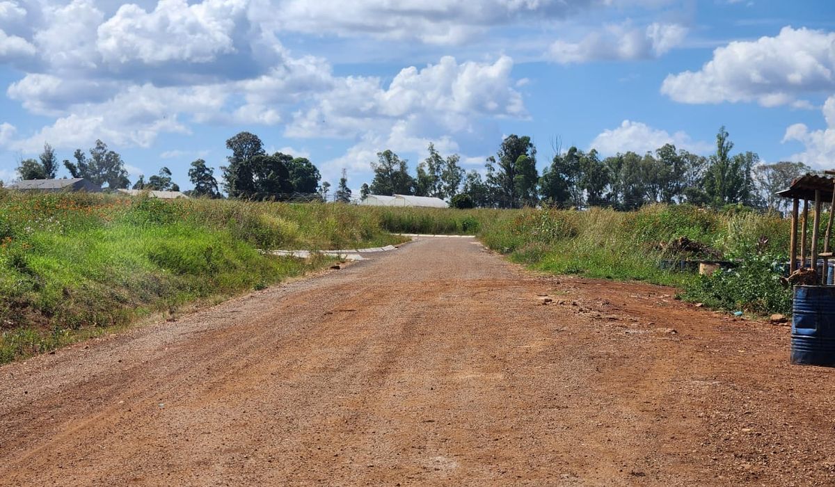 Stand for Sale in Nyeredzi 