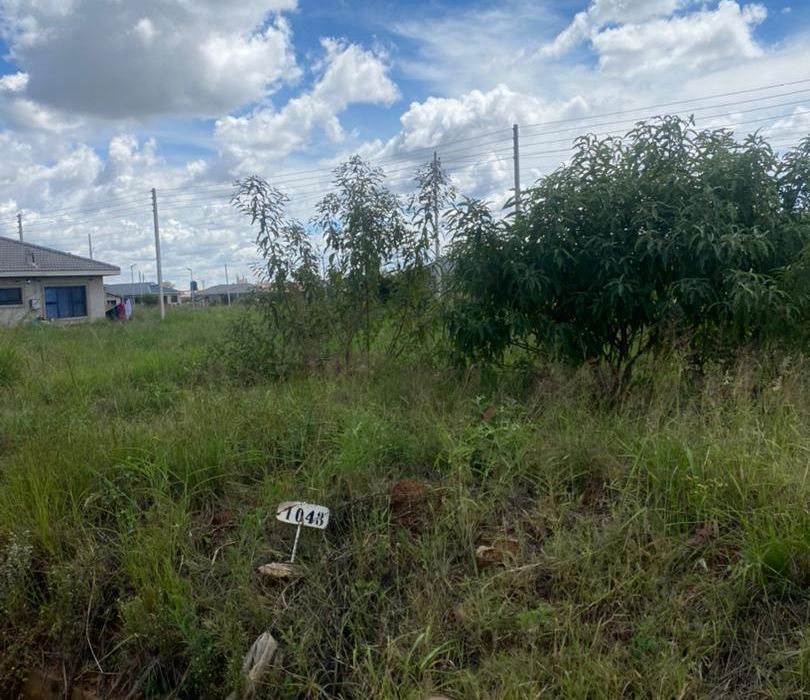 Stand for Sale in Rainham 