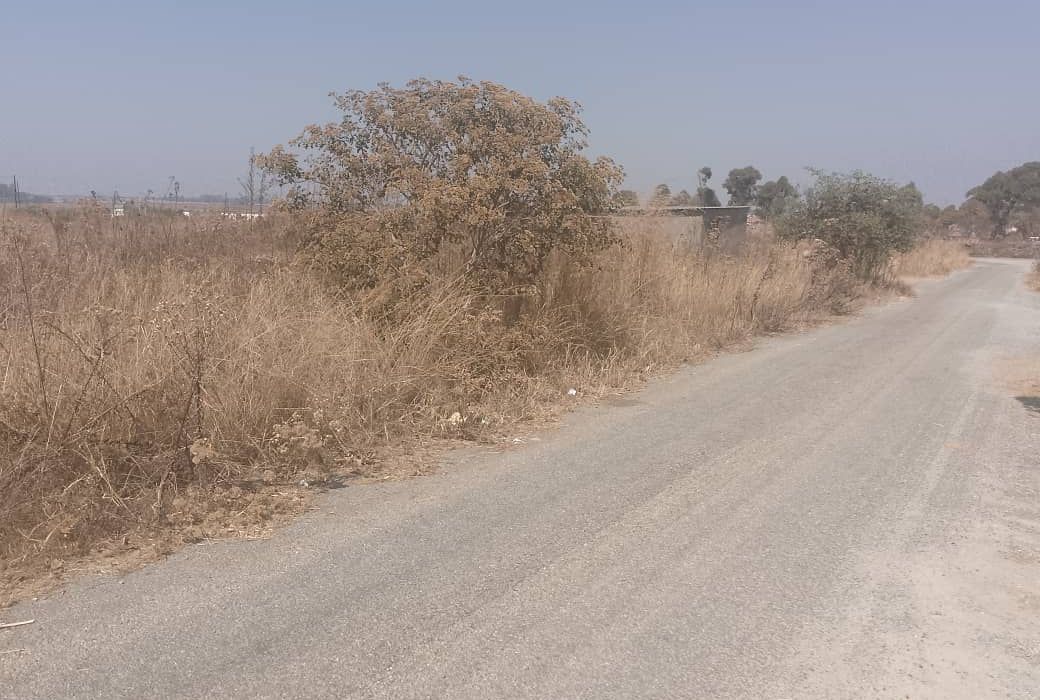 Stand for Sale in Ruwa, Sebastopol Park 