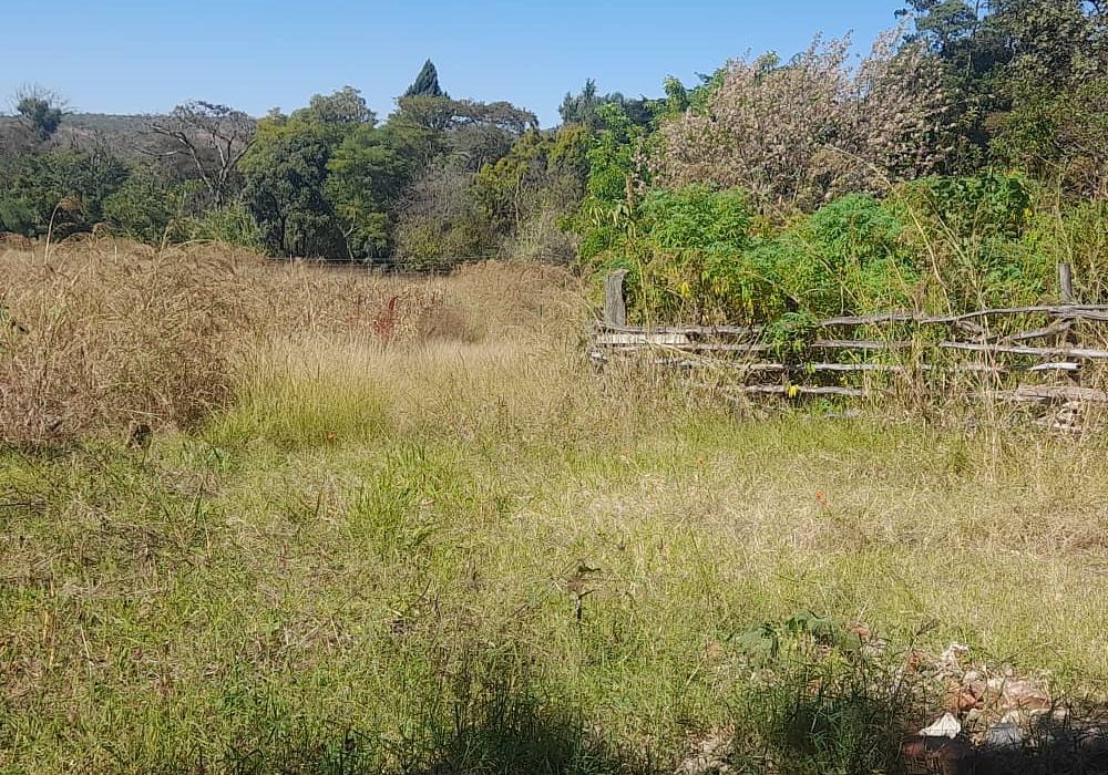 Stand in Glen Lorne For Sale 