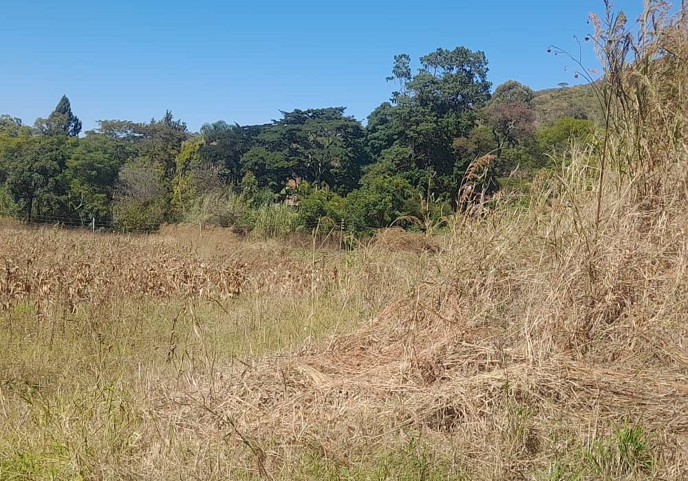 Stand in Glen Lorne For Sale 