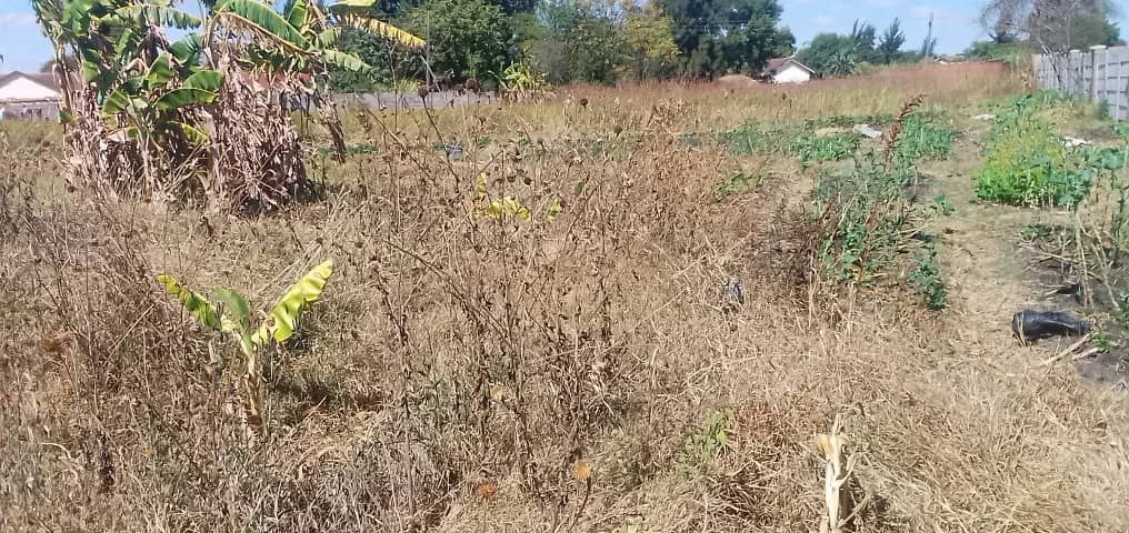 Stand for Sale in Marlborough