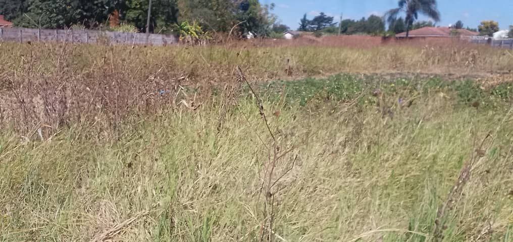 Stand for Sale in Marlborough