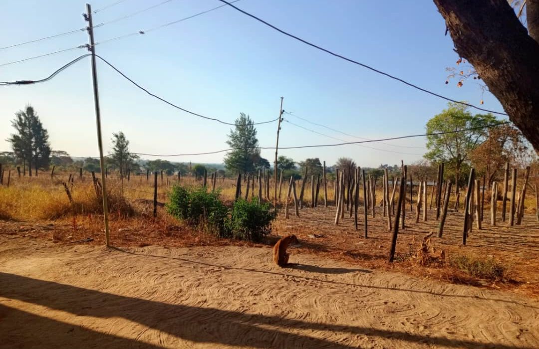 Stand in Ruwa, Goromonzi District for Sale 