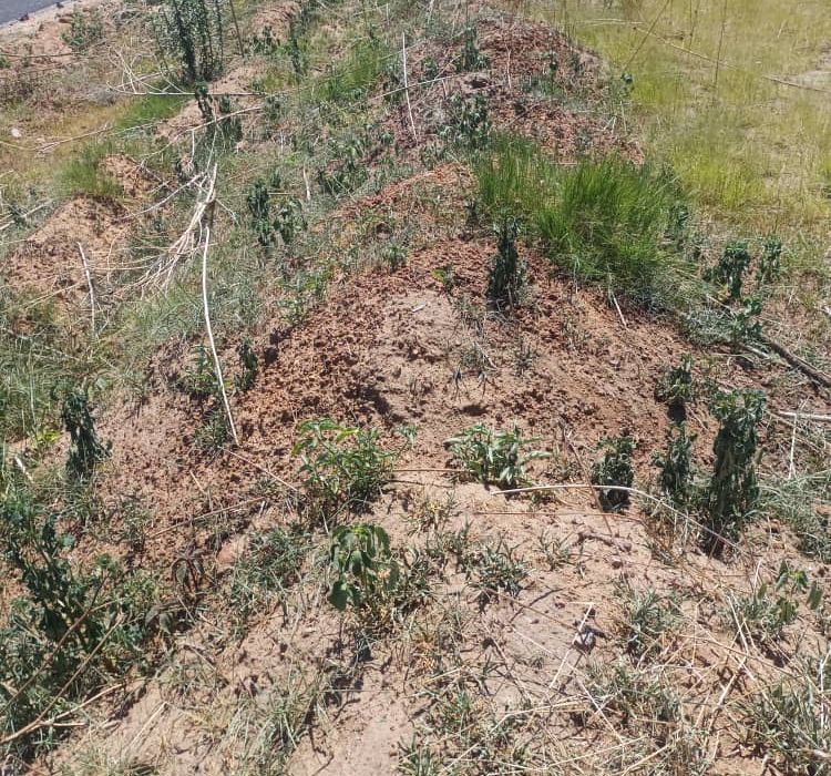 Stand in Waterfalls Prospect (Golden Bay) for Sale 