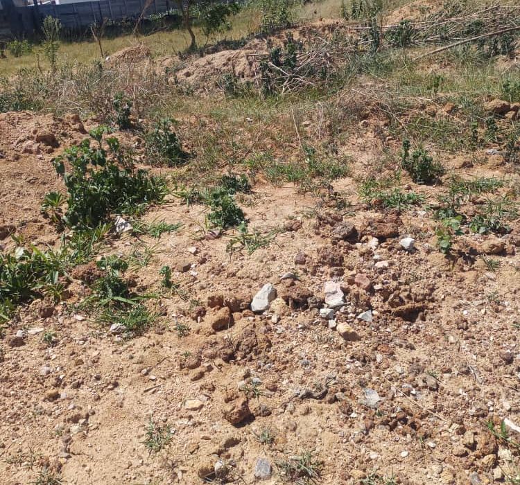 Stand in Waterfalls Prospect (Golden Bay) for Sale 