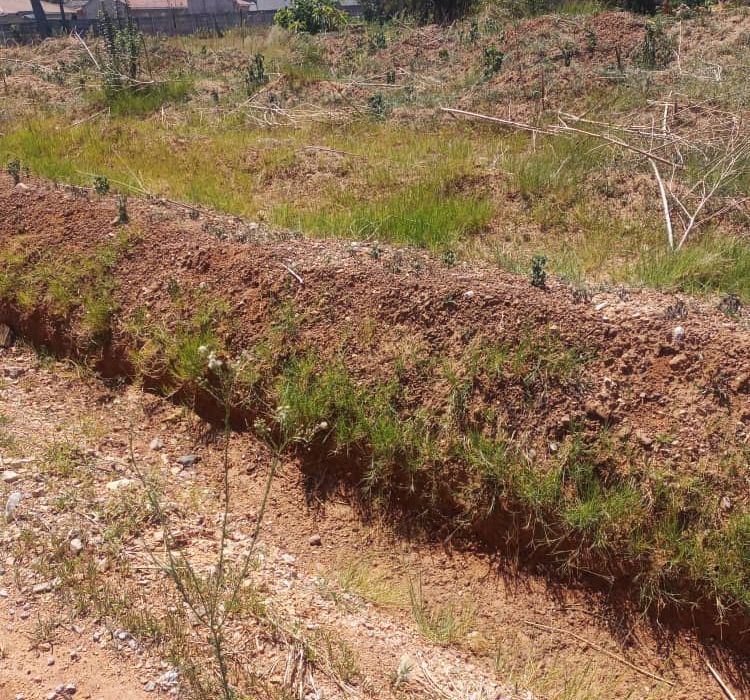 Stand in Waterfalls Prospect (Golden Bay) for Sale 