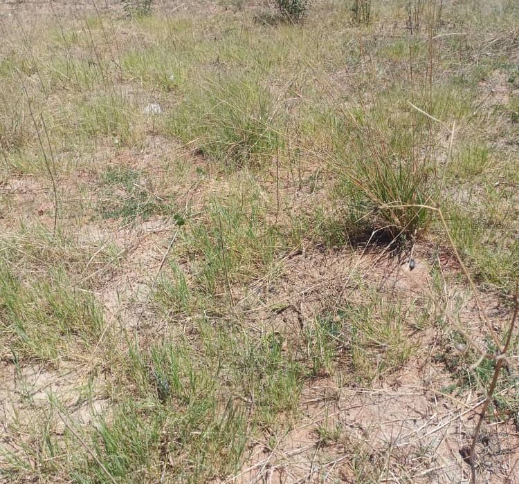 Stand in Waterfalls Prospect (Golden Bay) for Sale 