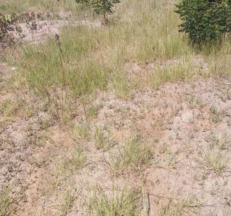 Stand in Waterfalls Prospect (Golden Bay) for Sale 