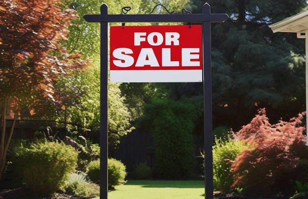 Stands for Sale in Hogerty Hill 