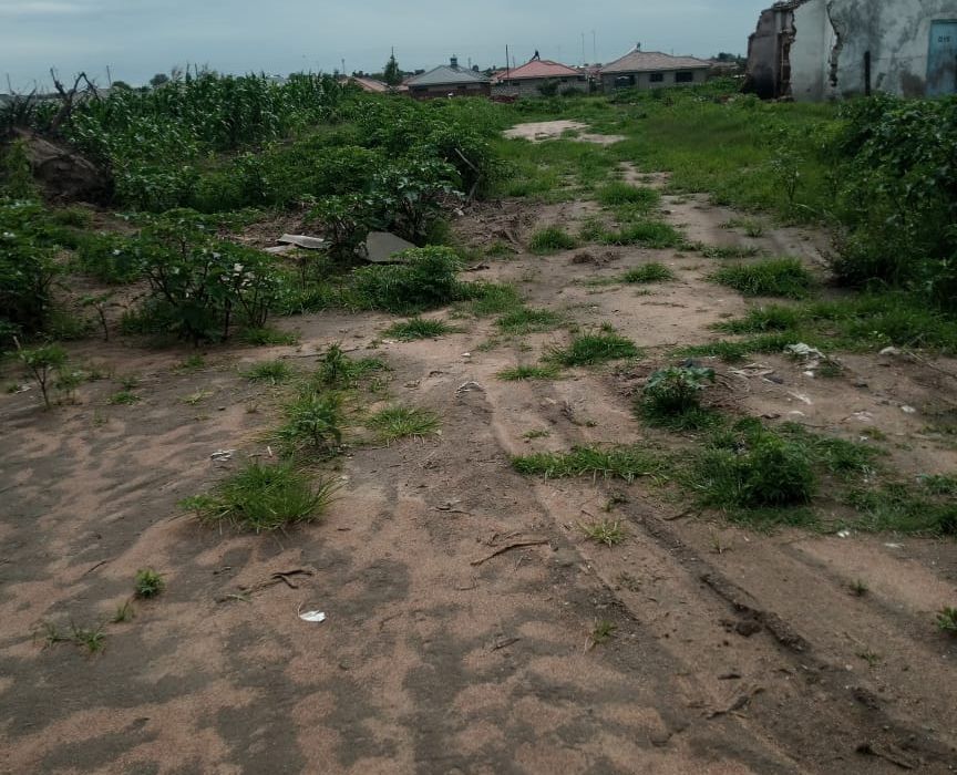 Stands for Sale in Glen View Ext