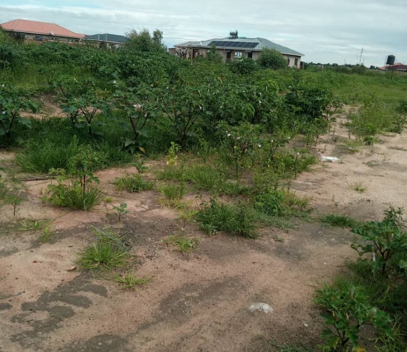 Stands for Sale in Glen View Ext
