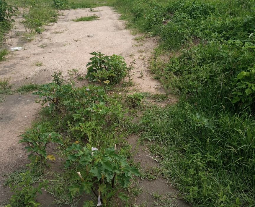 Stands for Sale in Glen View Ext