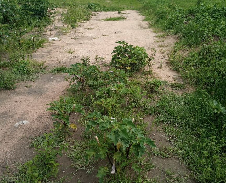 Stands for Sale in Glen View Ext
