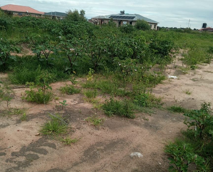 Stands for Sale in Glen View Ext