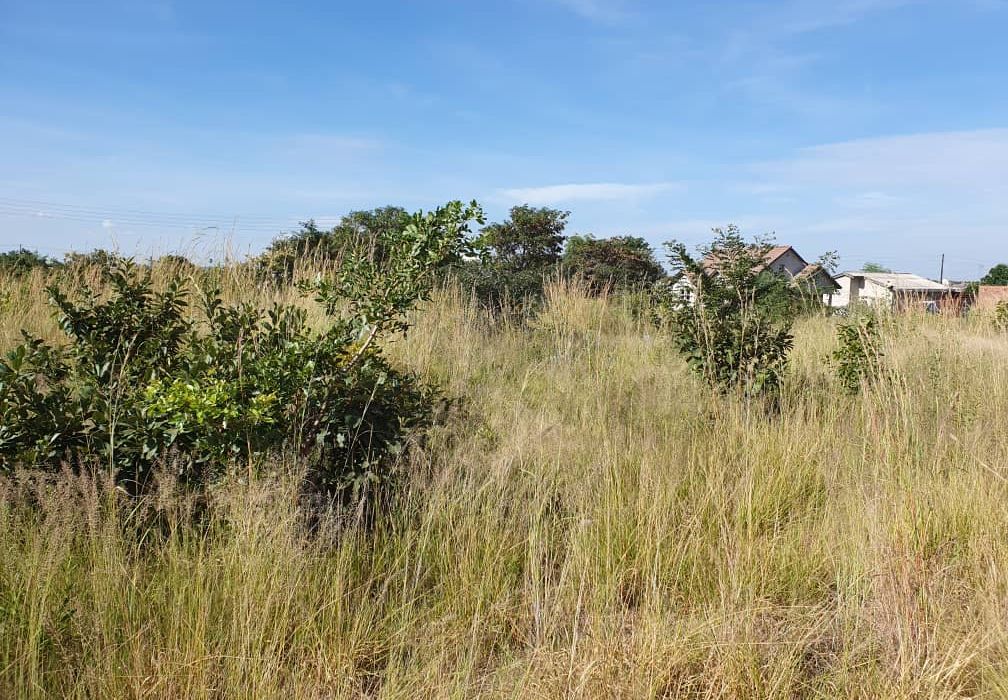 Sunway City Residential Stand For Sale