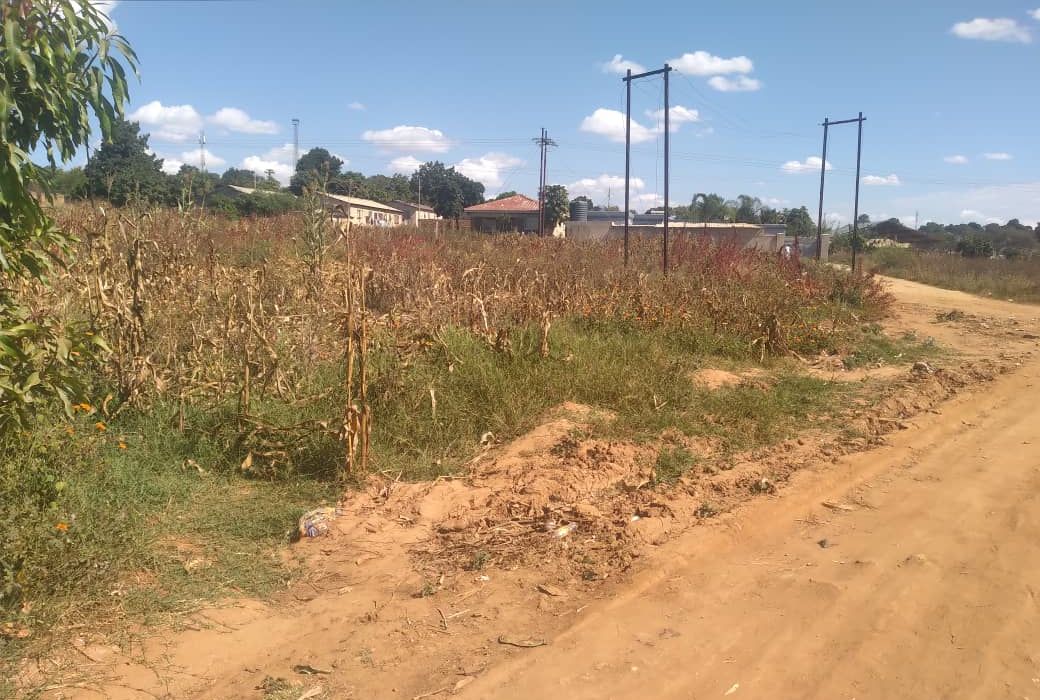 Titled Medium to Low Density Stand in Cold Stream - Chinhoyi