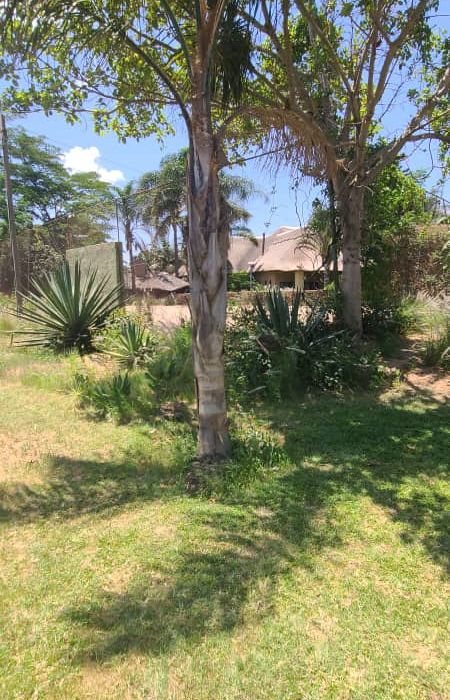 Venue for Sale on the Harare-Bulawayo Road 